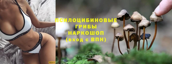 метадон Аркадак