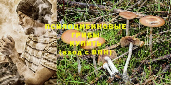 стафф Армянск